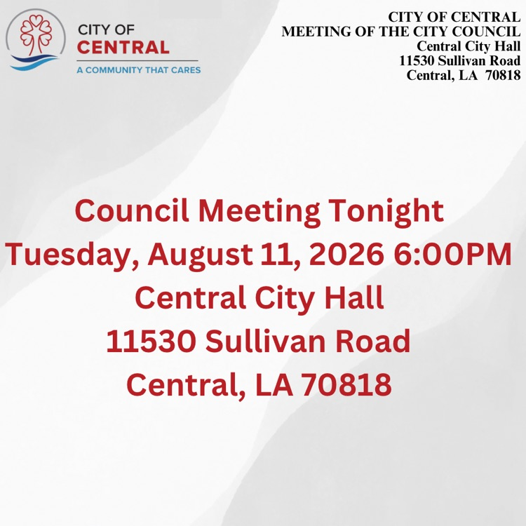 council meeting