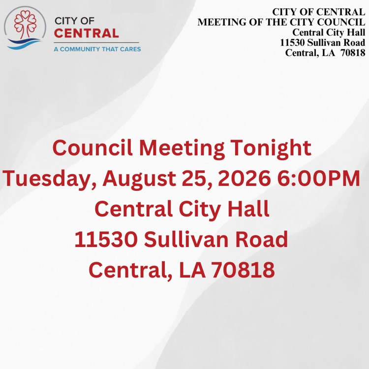council meeting