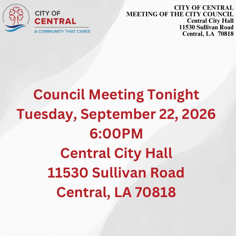 council meeting