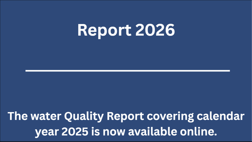 Report 2026