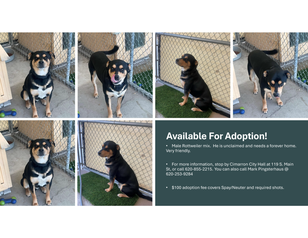 adoption 08-18-25