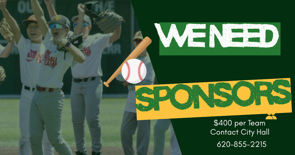 Summer Sponsors needed