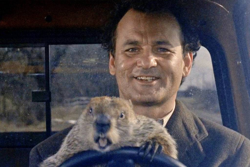 Auggie the Groundhog and Bill Murray