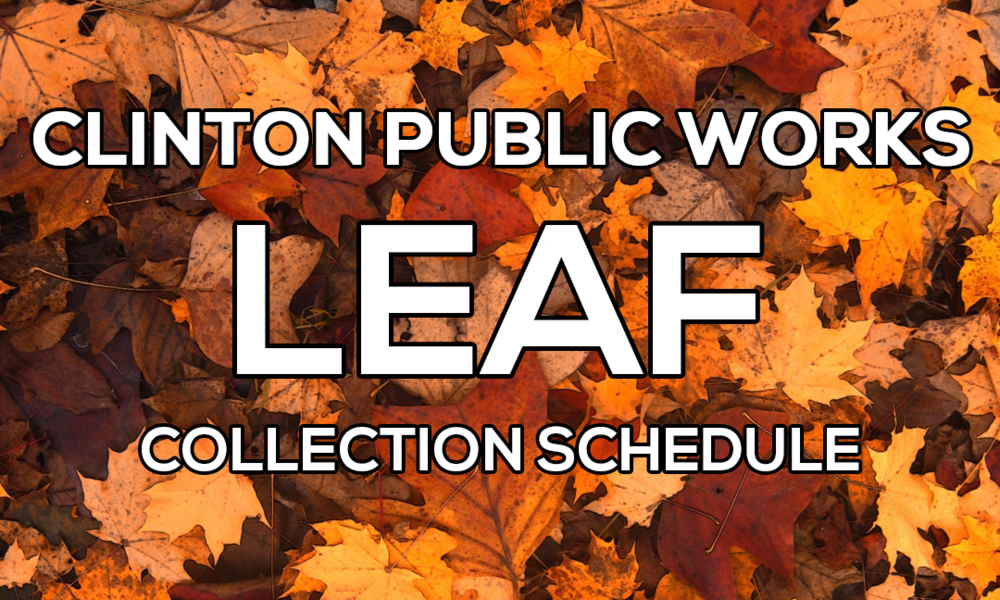 Leaf Collection