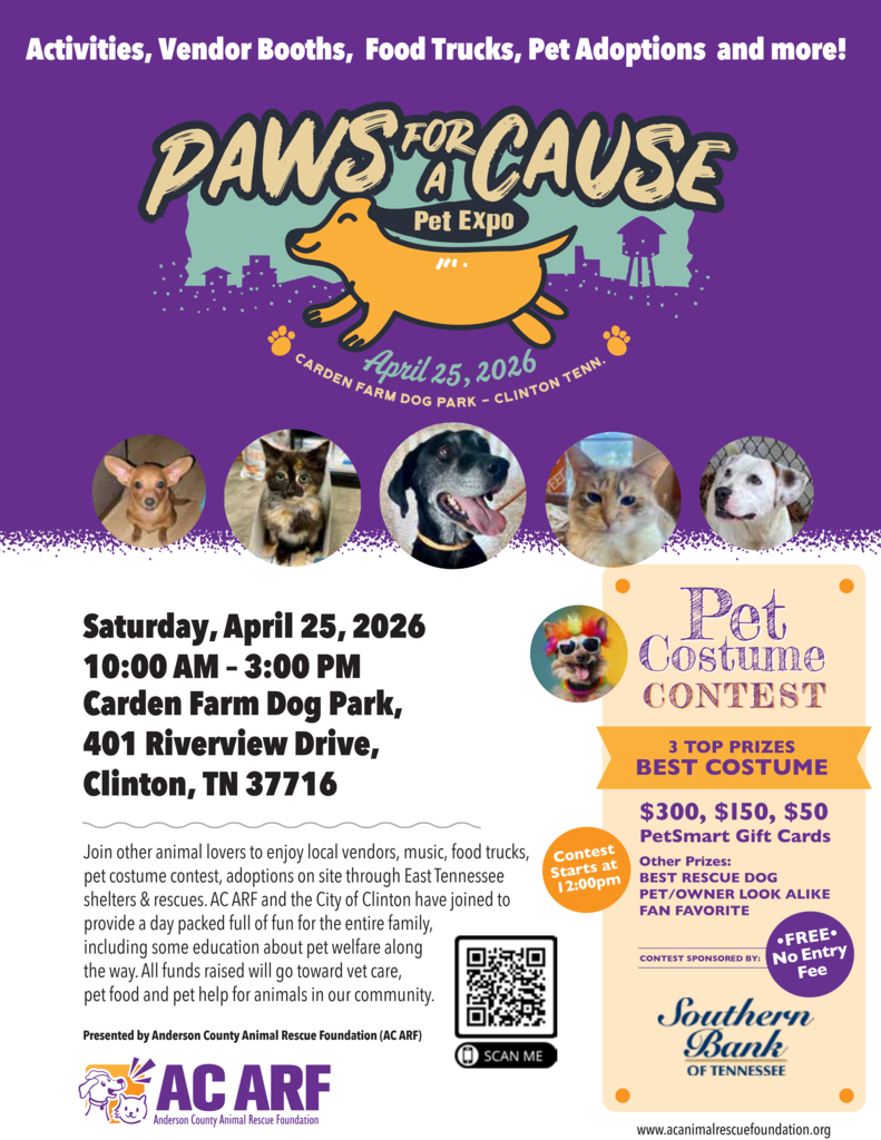 2026 Paws for a Cause Flyer