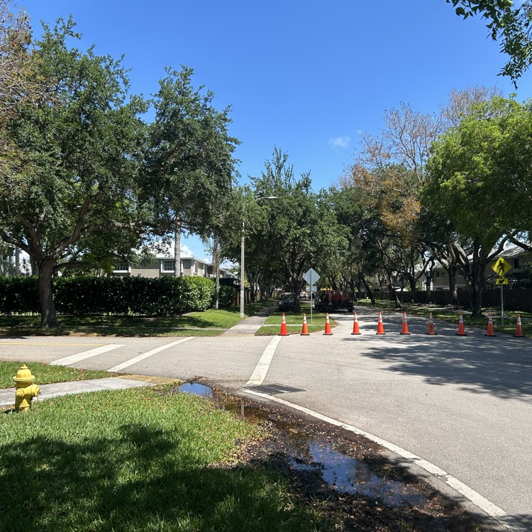 cones blocking a roadway