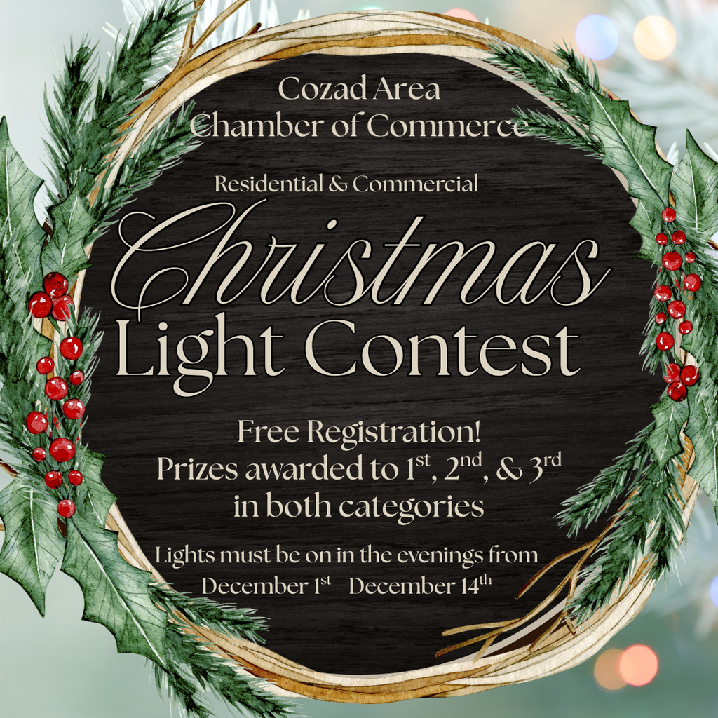 Christmas light Contest