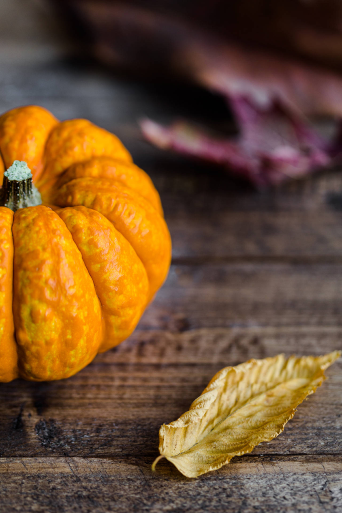 Mini pumpkin with fall leaf on countertop