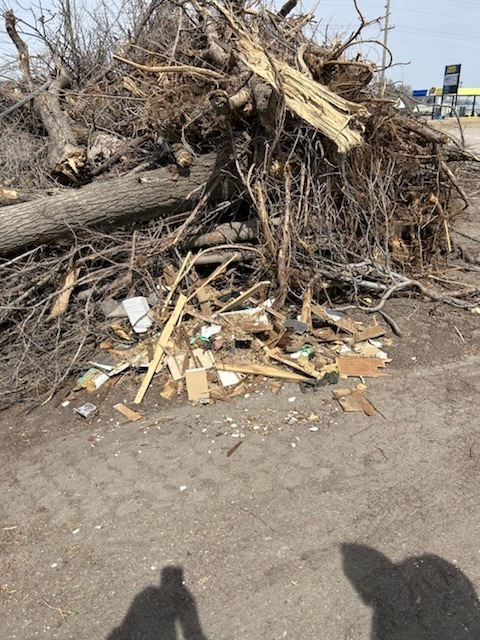 tree lot junk