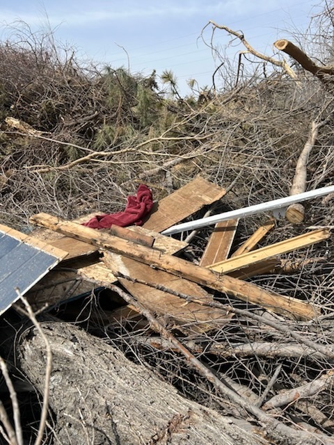 tree lot junk