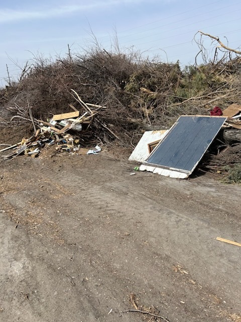 tree lot junk
