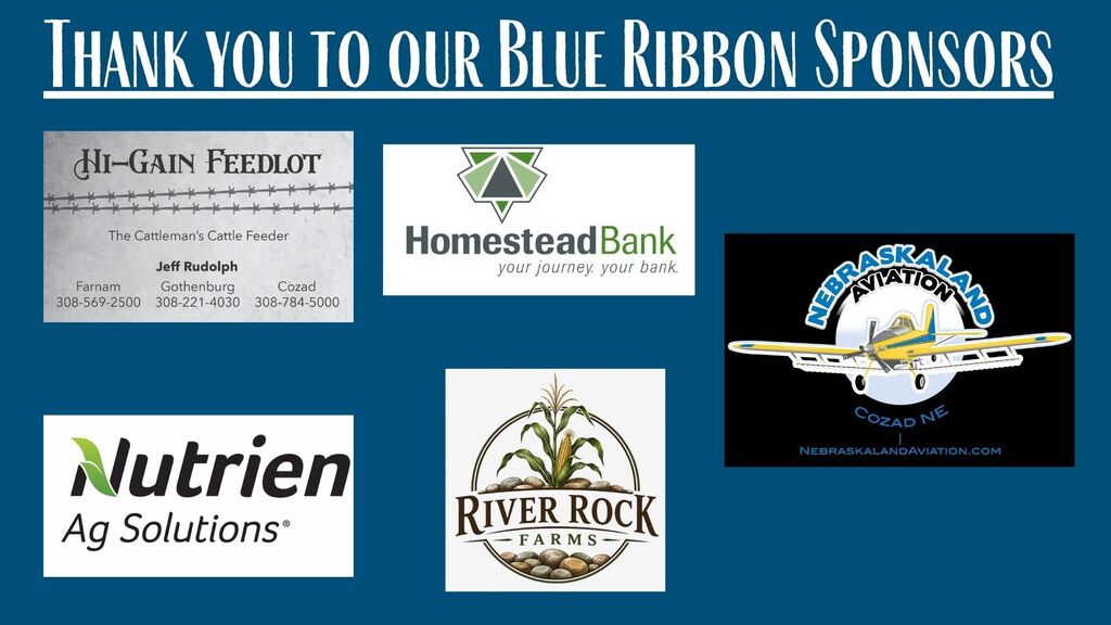 Blue Ribbon Sponsors