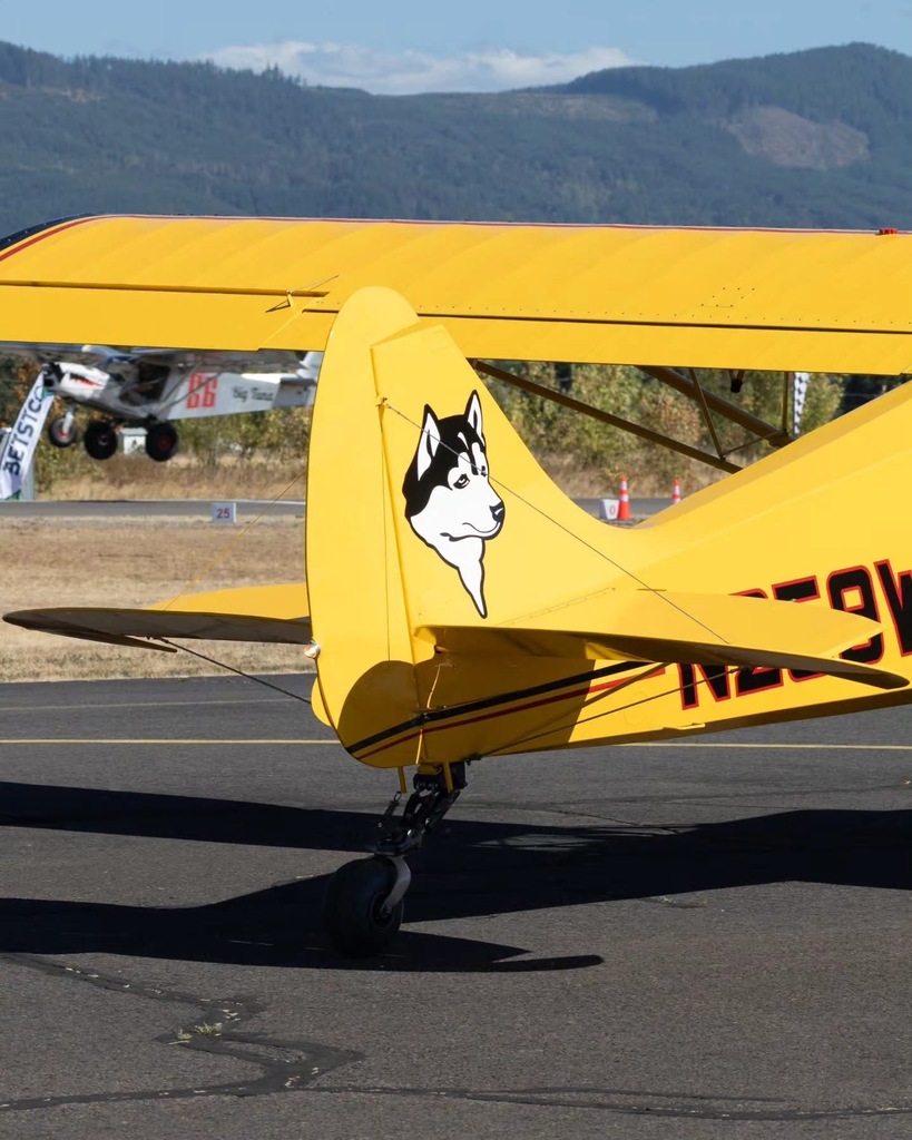 Image of a yellow airplane with a cartoon wolf logo on it back fin.
