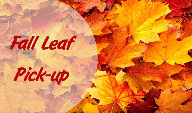 Fall Leaf Pickup