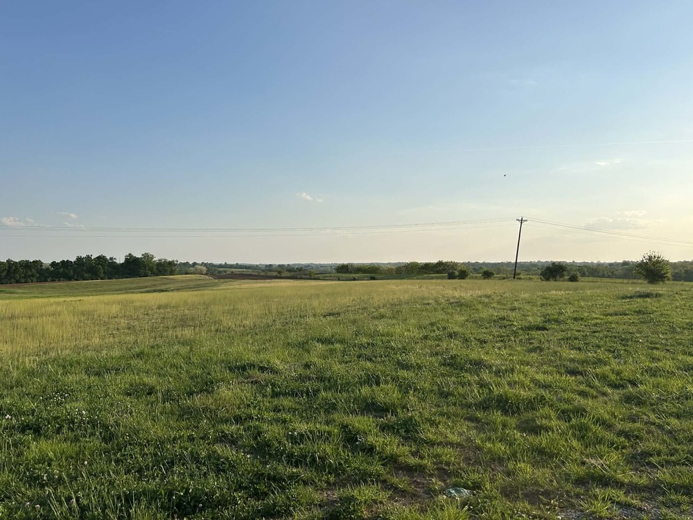 White Oak EDA Site
