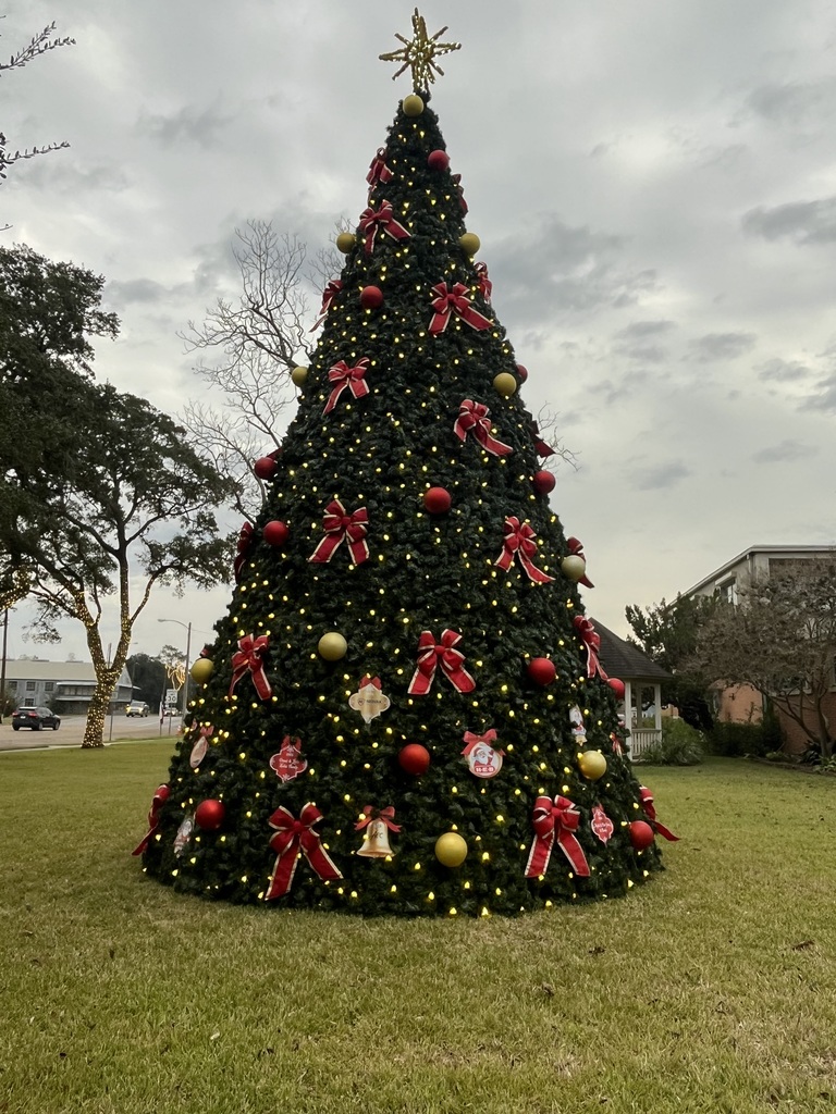 The sponsored ornaments are visible on the city Christmas tree