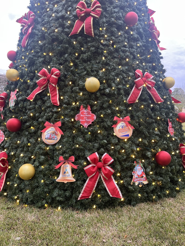 Ornaments hung on the city Christmas tree