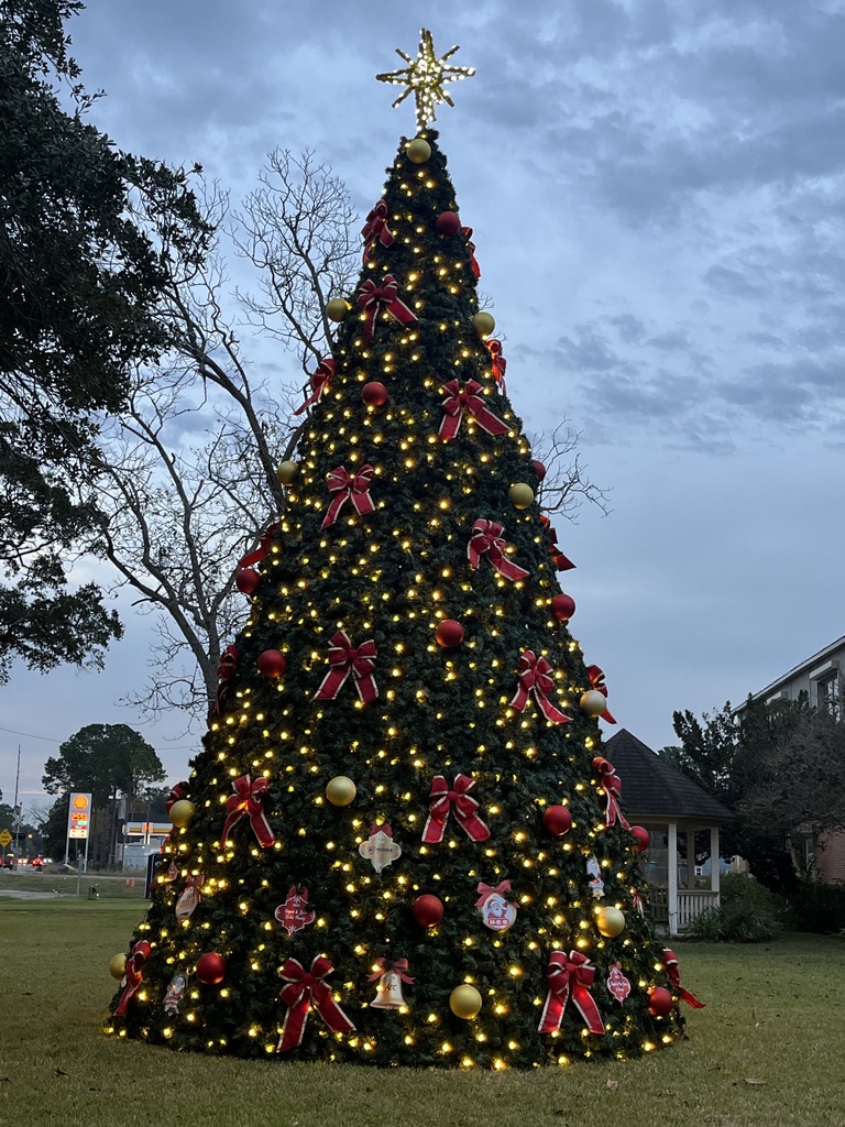 City Christmas tree lit at dusk