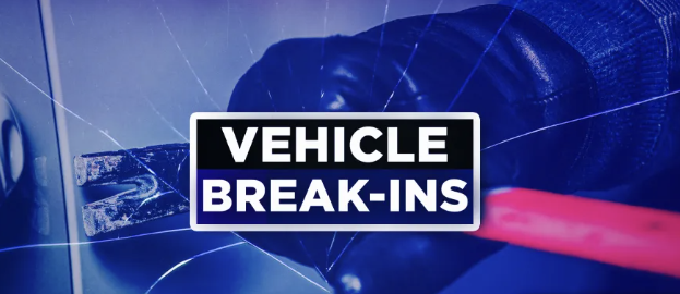 Vehicle Break-Ins