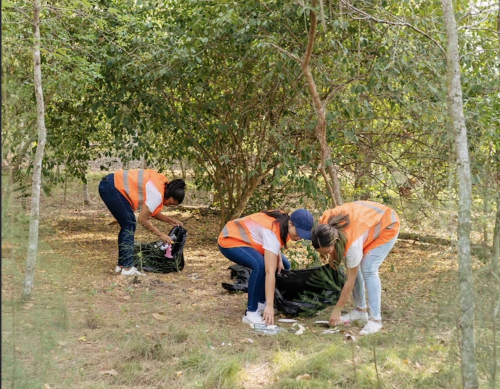 people cleaning up the outdoors in their community. Wearing an orange vest.