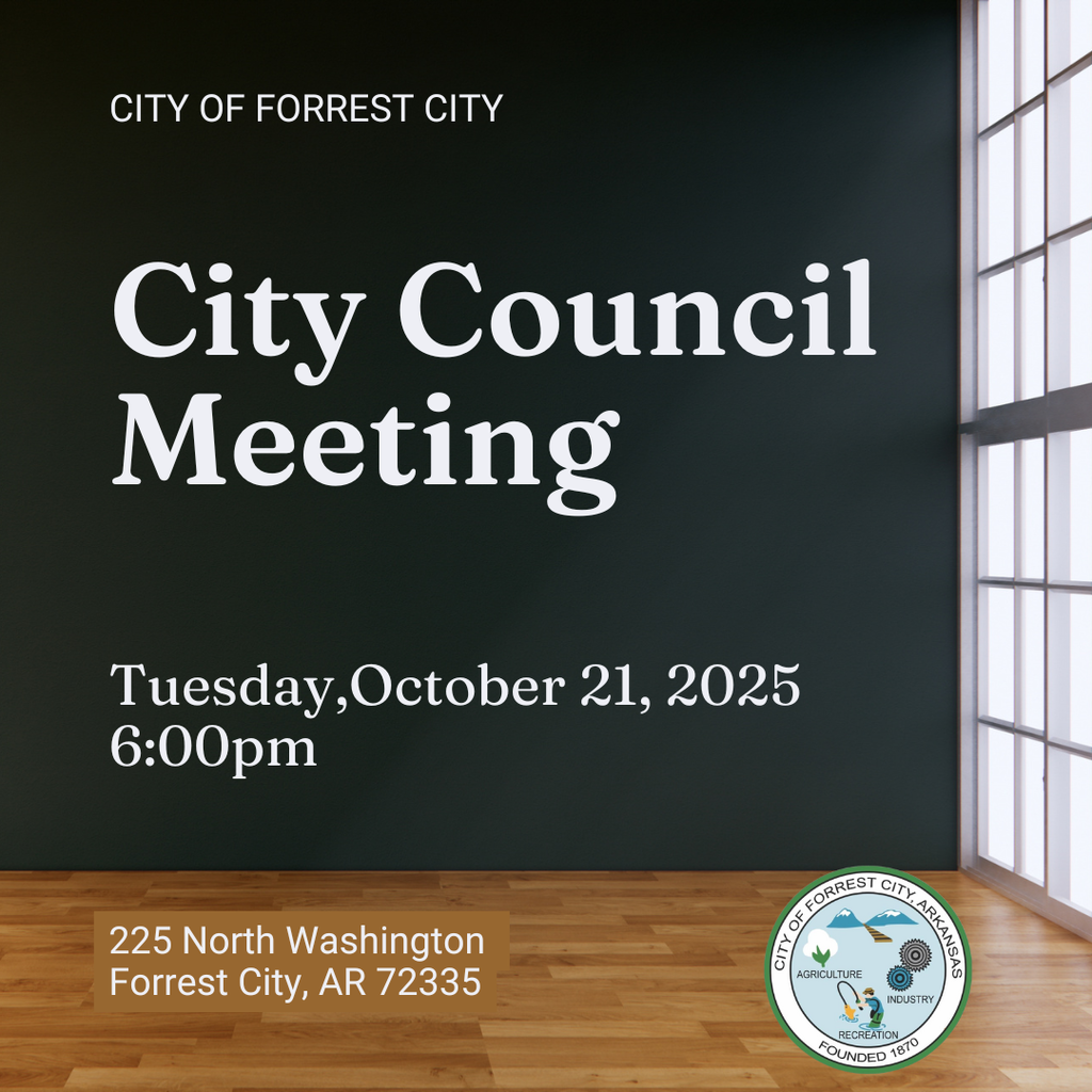 City Council Meeting