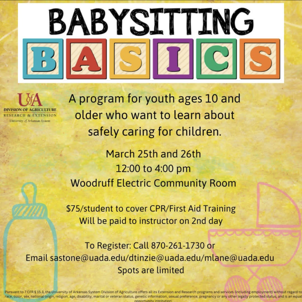Babysitting Basics 