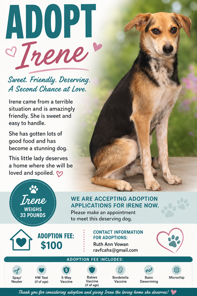 Adoption