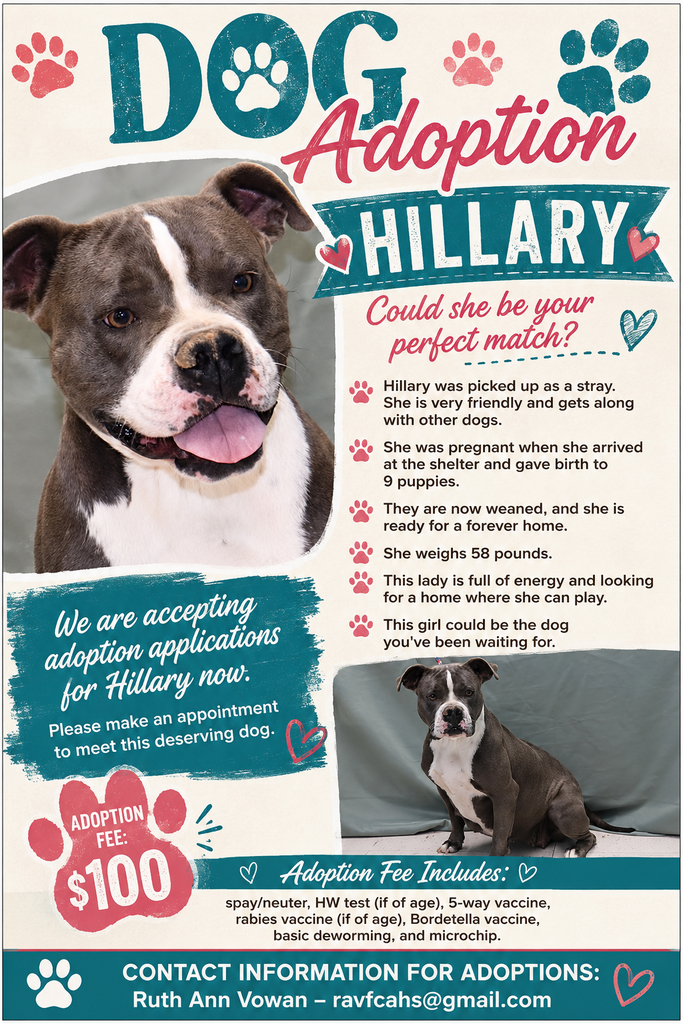 Dog Adoption