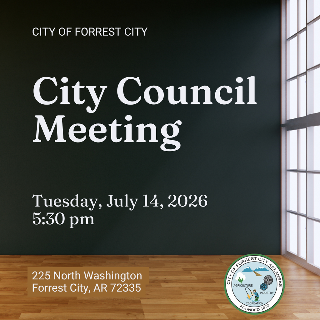 City Council Meeting
