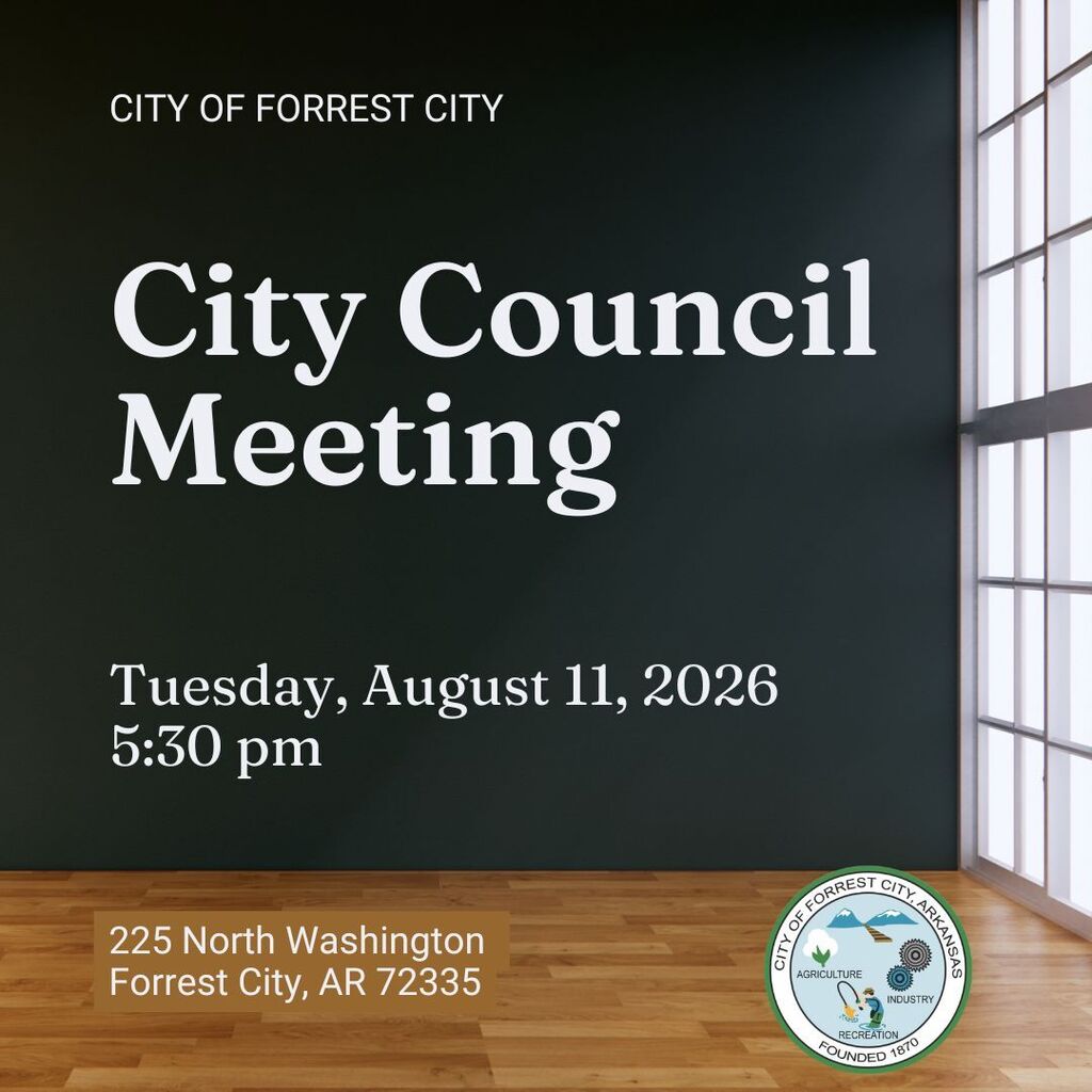 City Council Meeting