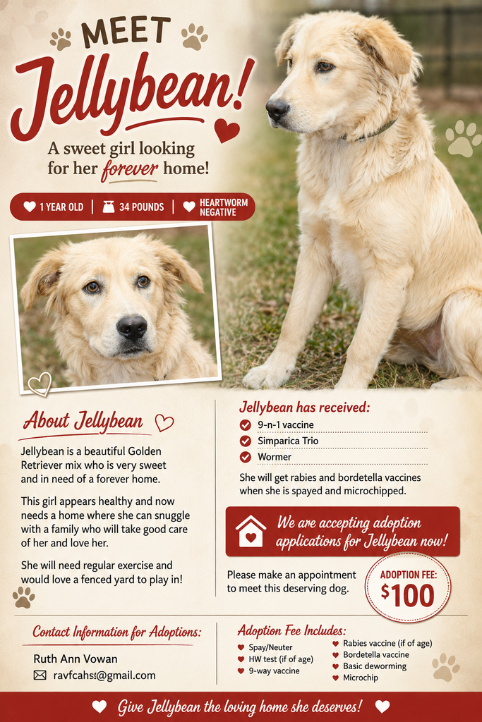 Dog of the week