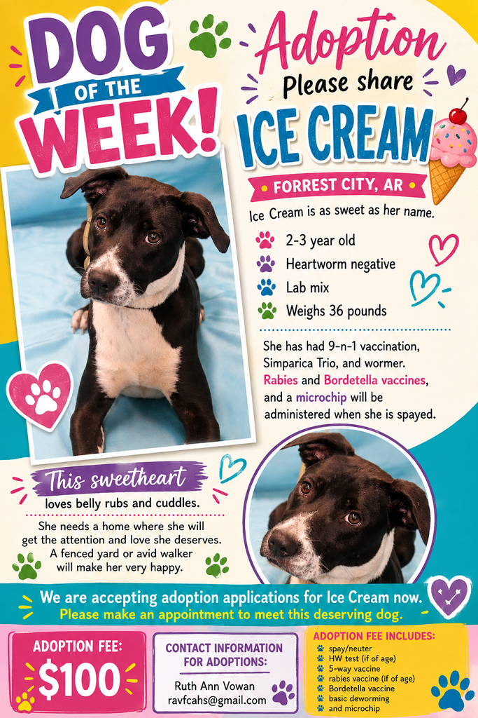 Dog of the Week