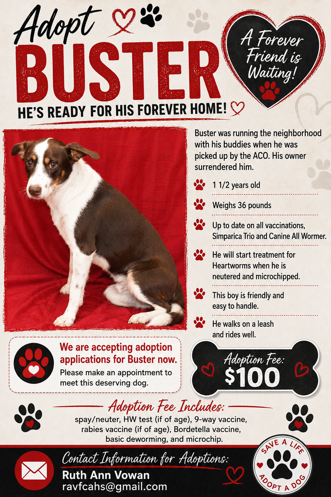 Dog of Week 