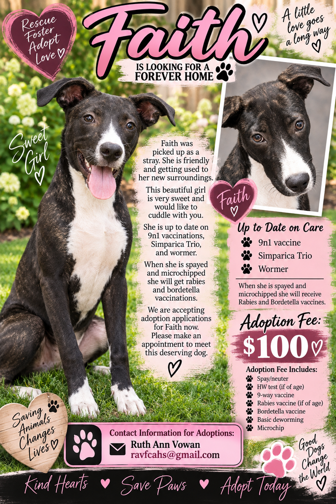 dog adoption 