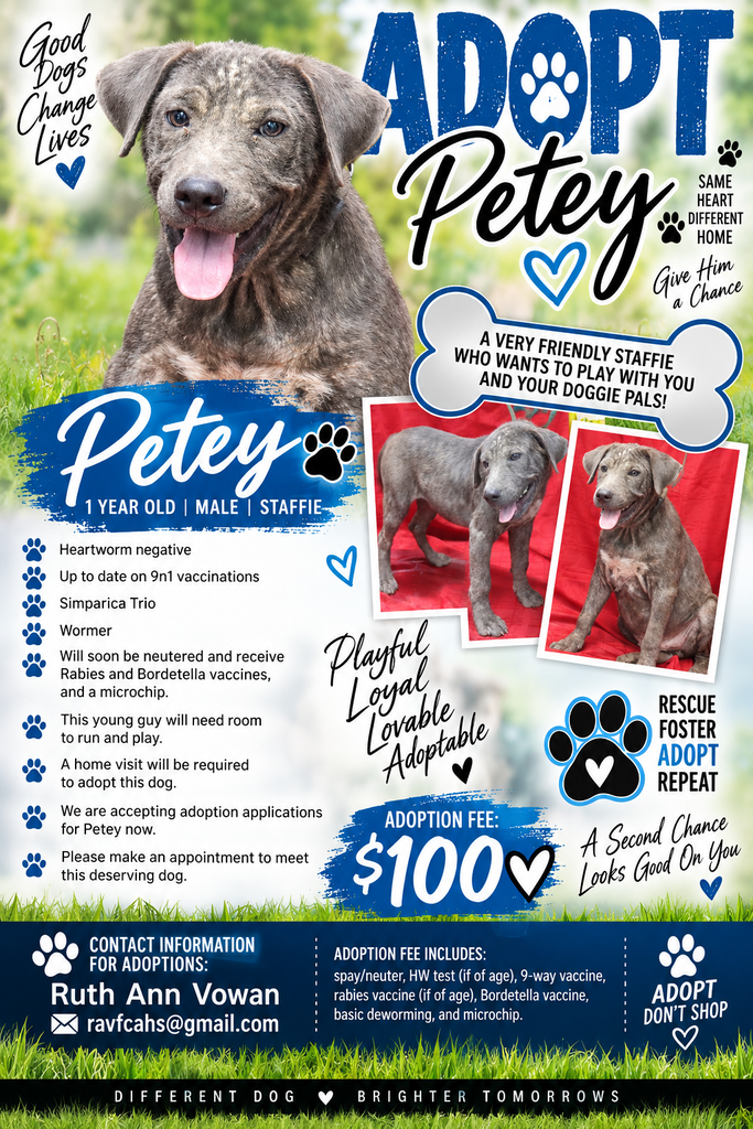 dog adoption