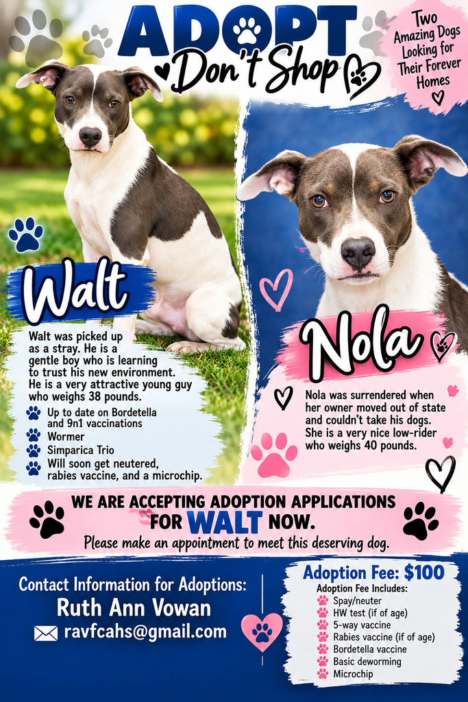 Dod Adoption