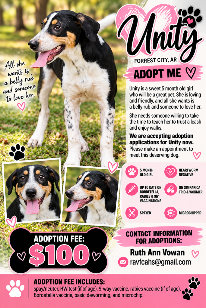 Dog Adoption