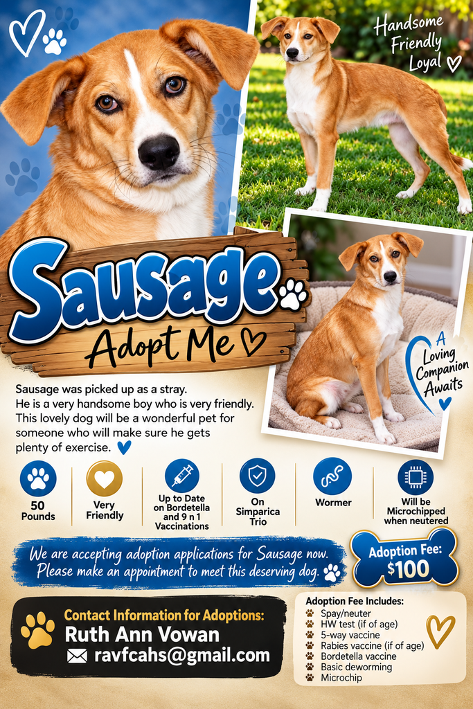 Dog Adoption Sausage