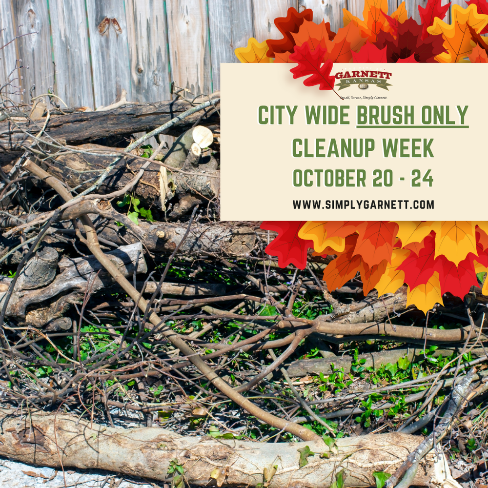 brush cleanup