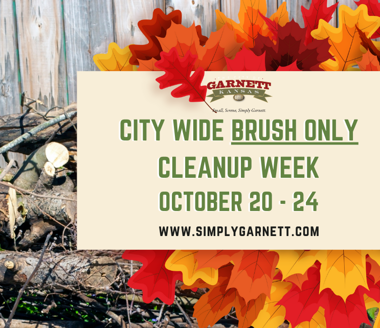 brush cleanup
