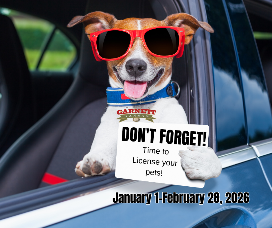 Pet License Reminder (2)