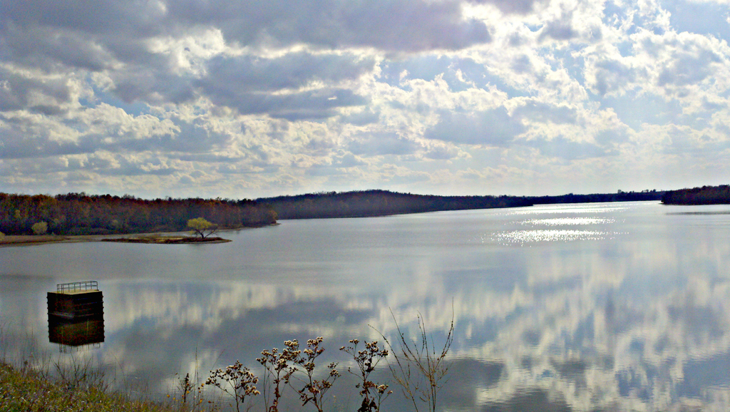water and trees at the Cedar Valley Reservoir