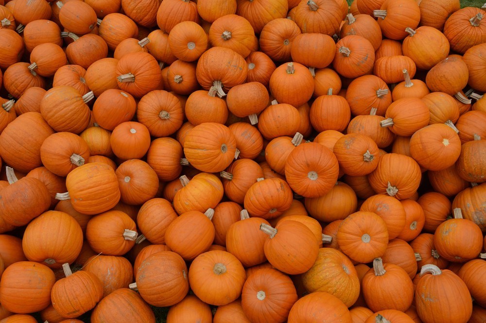Fall Produce