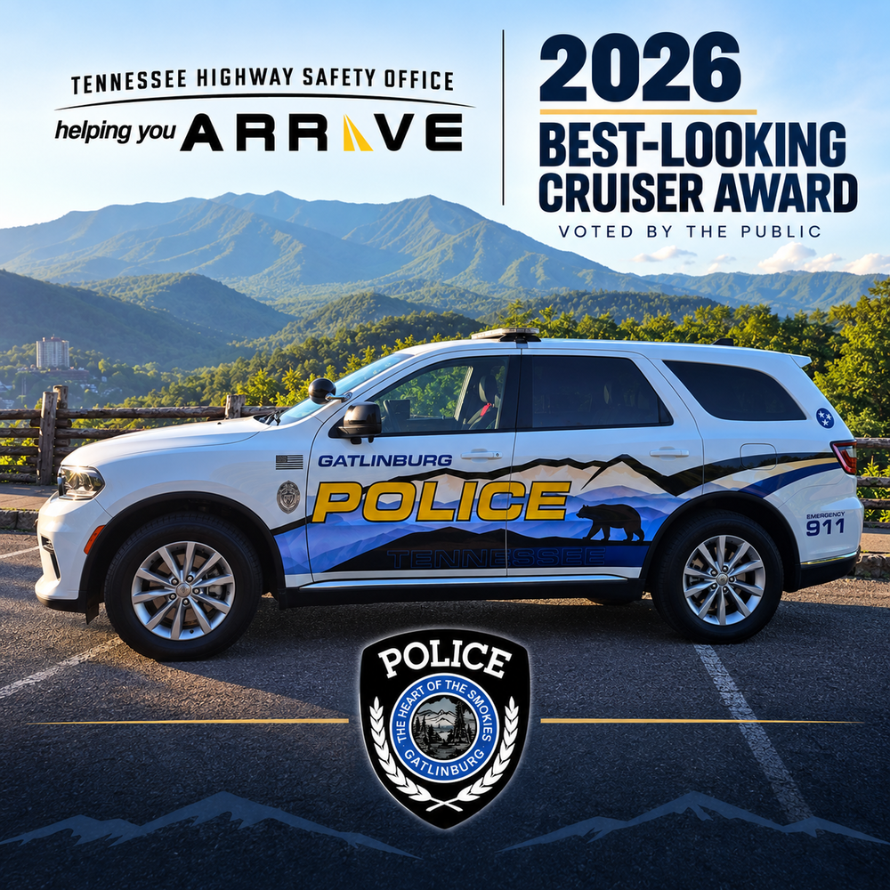 Cruiser Contest