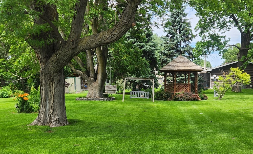 Art Hartman Yard of the Month July 26