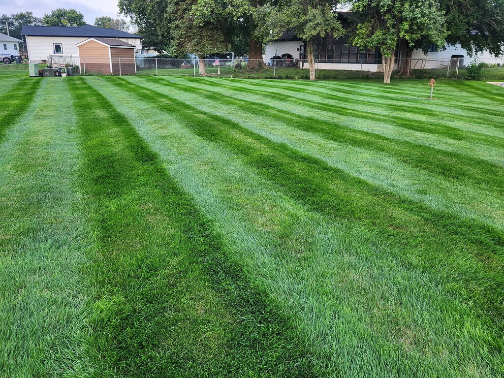 Craig and Amy Holcomb, our September Gibbon Yard of the Month winners!