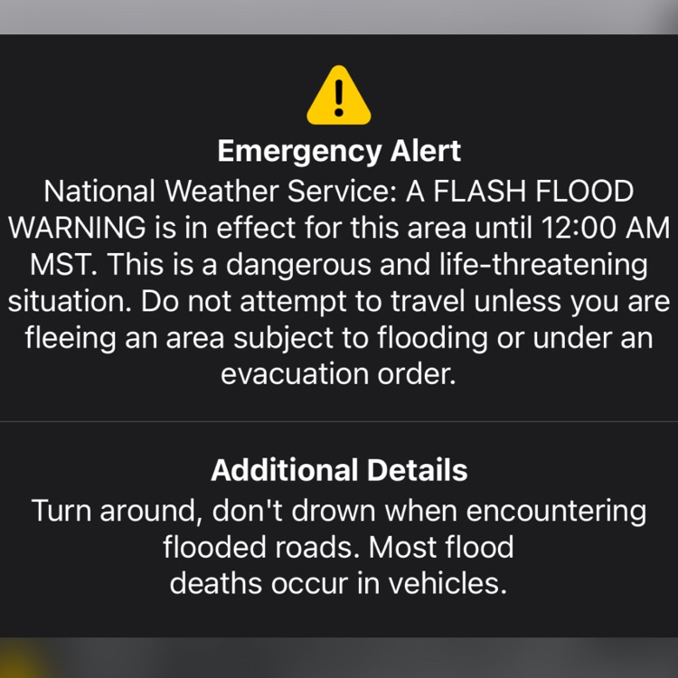 emergency alert
