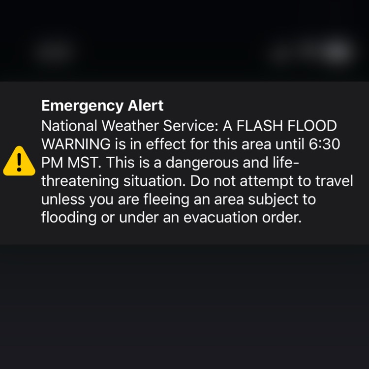 Emergency Alert