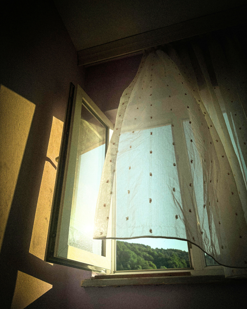 mold prevention open window