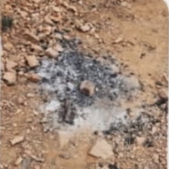 photo of fire remnants 